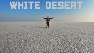 RANN UTSAV 2021  |  GREAT RANN OF KUTCH  |  4K