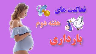 هفته دوم بارداری : فعالیتهای هفته دوم بارداری