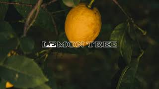 Lemon Tree ( Budots Remix) Tiktok Song