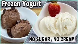 Frozen Yogurt No Sugar No Cream! | Vanilla Frozen Yogurt | Chocolate Frozen Yogurt [FROYO]