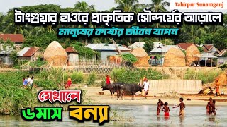 সুনামগঞ্জের হাওর অঞ্চলের মানুষের দুঃখ কষ্টের জীবন যাপন | Tahirpur Sunamganj Sylhet | Tanguar Haor