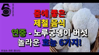 몸에 좋은 제철 음식 연중 - 노루궁뎅이 버섯 놀라운 효능 6가지!