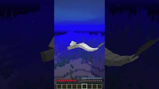 Minecraft Ama Deniz KEDİSİYİM