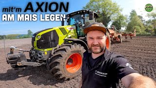 Let’s Drive CLAAS Axion 810 | Mais legen im Emsland | Bauer Struck in 4K