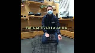 Tutorial para activación de Jaula para Gatos - PLAGA´S TIENDA ECOLÓGICA - EXCEL PEST CONTROL SAS