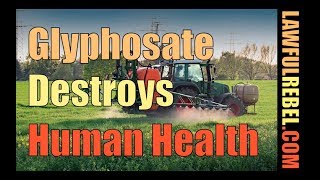 Glyphosate Destroys health - with Dr Stephanie Seneff of MIT