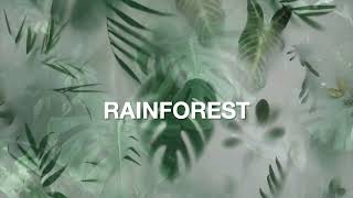 FIORANESE – Rainforest