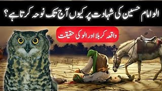 hazrat hussain or ullu ka waqia | 10 Muharram