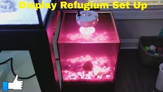 My New Display Refugium Set Up