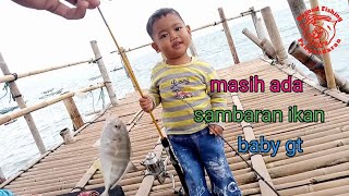 lama ta jumpa ternyata masih strek ikan baby gt