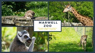 Marwell Zoo Day Out - Day Out With Kids