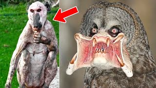 10 Scariest Looking Animals You DON'T Want to Encounter!