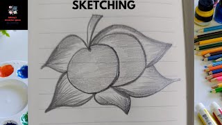 Simple pencil sketching tutorial for beginners (Fruit) #art #beginners #pencildrawing #simpleart