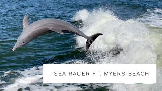 Sea Racer, Fort Myers Beach, Florida, Dolphin watching