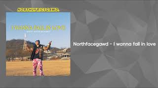 노스페이스갓 - I wanna fall in love 가사 | lyrics | Northfacegawd | 노페갓