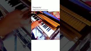 Despacito || Harmonium Cover || Short || Rajneesh Pathak