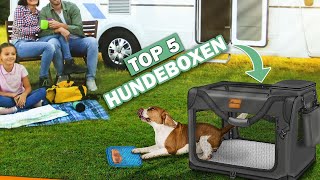 Besten Hundeboxen im Vergleich  Top 5 Hundeboxen Test