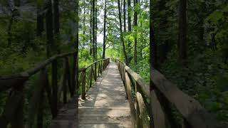 звуки природы 🌬️ #асмр #asmr #звукиприроды #relax #asmrsound #asmrnature #asmrgirl #асмрзвуки