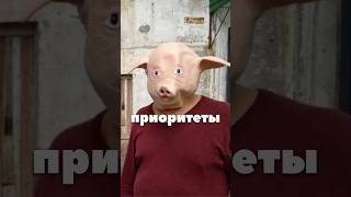 обучаю квадроберов профессии  #байер 🐷 запись на курс в шляпе профиля. #квадробика #квадробикатоп