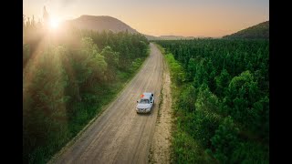 Upper Stony Creek, Byfield Forestry, Camping, 4wd, Freshwater Creek, Central Queensland,  -Ep 20