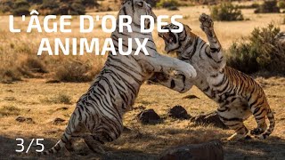 Pouvoir et Domination: l’Âge d’Or des Animaux (3/5)- Documentaire Animalier