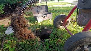 Sanitary Sewer Lateral Tree Roots Cause Blockage