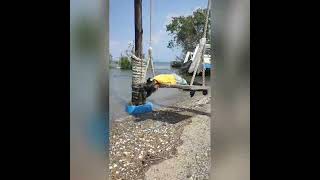 Pulau Aman Tempat Makan Mee Udang Sedap| Penang