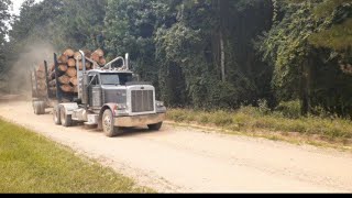 Peterbilt 379 hauling logs