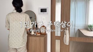 본업하고 부업하고 알바하고 유튜브도 하는 여름과 가을 사이