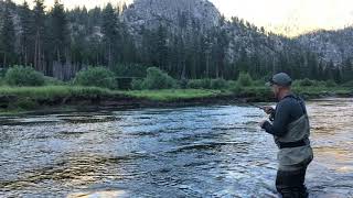 Fishing Report Kern River Golden Trout Wilderness Packtrains