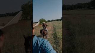 Evening trail ride with friends #horses #equestrian #trailriding #horse