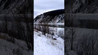 Dawson city, лёд на реке Юкон