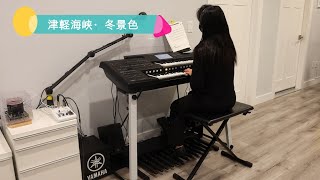 もしも津軽海峡・冬景色がダンスバージョンだったら/ Tsugaru Kaikyo Fuyugeshiki (Dance) ELC-02 エレクトーン演奏  撮り直し