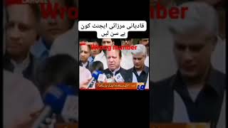 afsoos nawaz sharif nay qadyanio bhai maan kr himayat krli😥 #youtubeshorts #shortsviral