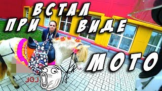 У коня ВСТАЛ! При виде мотоциклиста! и Дети чуть не ушатали мой байк!