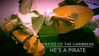 Pirates of the Caribbean - hurdy-gurdy and lute cover