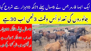 Bachra Farming in Pakistan || Top Business in Pakistan || 2024