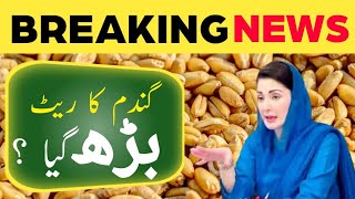 Wheat Price in Pakistan 2024