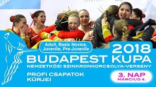 Budapest Nemzetközi Kupa 2018. március 4. | Profi csapatok  kűrjei | LIVE STREAM