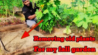 Moving old plants to start my fall garden see how I do it