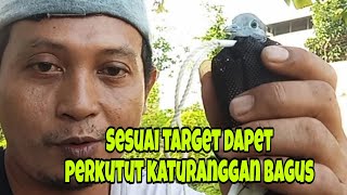 Rezki nomplok dapet perkutut katuranggan bagus