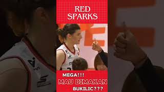 Mega makin akrab #shortvideo #redspark #megawatihangestriterbaru