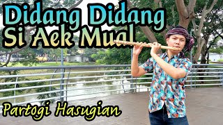 Didang Didang Si Aek Mual || Gondang Batak Terbaru || Partogi Hasugian