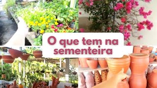 Fui comprar na sementeira planta, vaso, estrume e fertilizantes.