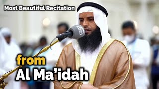 Heart Soothing Voice | Surah Al Ma'idah by Sheikh Ezzedine Al Awami | Most Beautiful Recitation