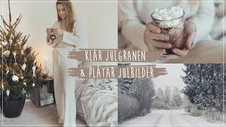 Julgranen är inne! Och så fotar jag julbilder | Vlog