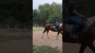 one of Bethany's first canters (OLD VIDEO) #dressage #shortvideos #horses #showjumping #jumping