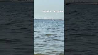 Доехала до китайского моря. Большой вело тур по Китаю