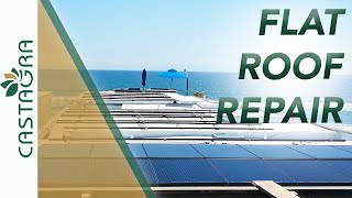 How To Repair and Waterproof a Flat Roof (Eco-Friendly Roof Coating)