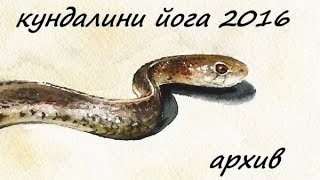 кундалини йога. 2016 год. ( архив)